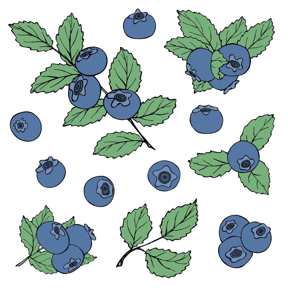 ensemble vectoriel de clipart de myrtille. icône de baies dessinées à la main. illustration de fruits. pour l'impression, le web, le design, la décoration, le logo.