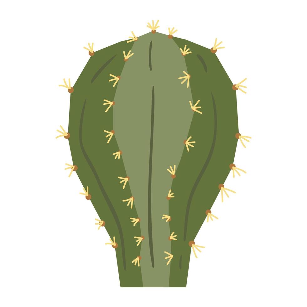 cactus et succulentes, vecteur illustration dans plat style