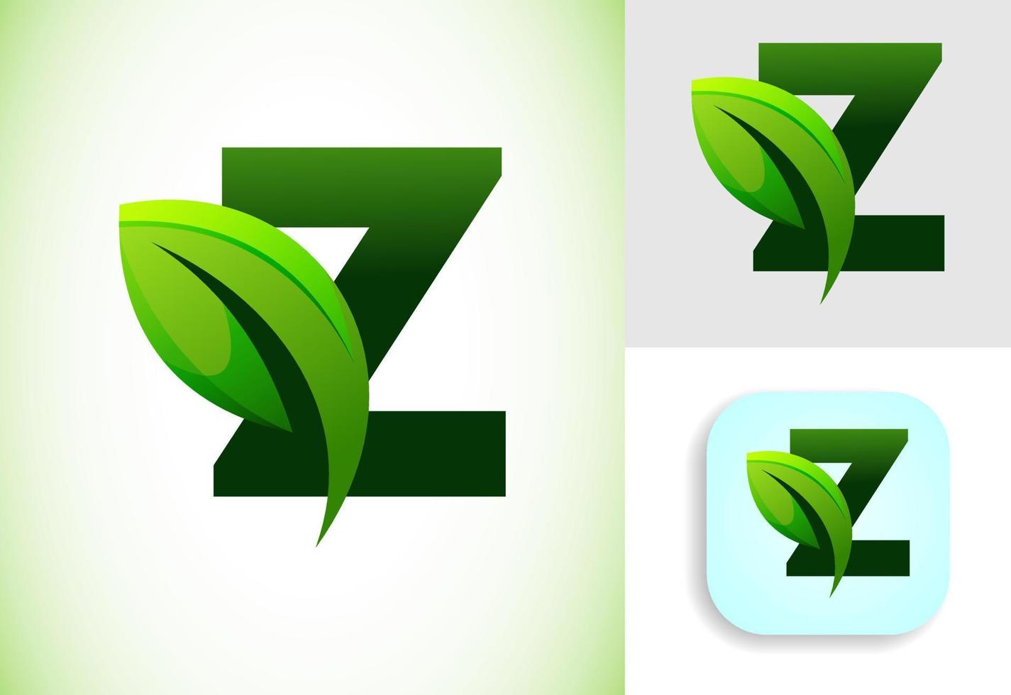 initiale z alphabet avec une feuille. respectueux de la nature logo concept. graphique alphabet symbole pour affaires et entreprise identité. vecteur