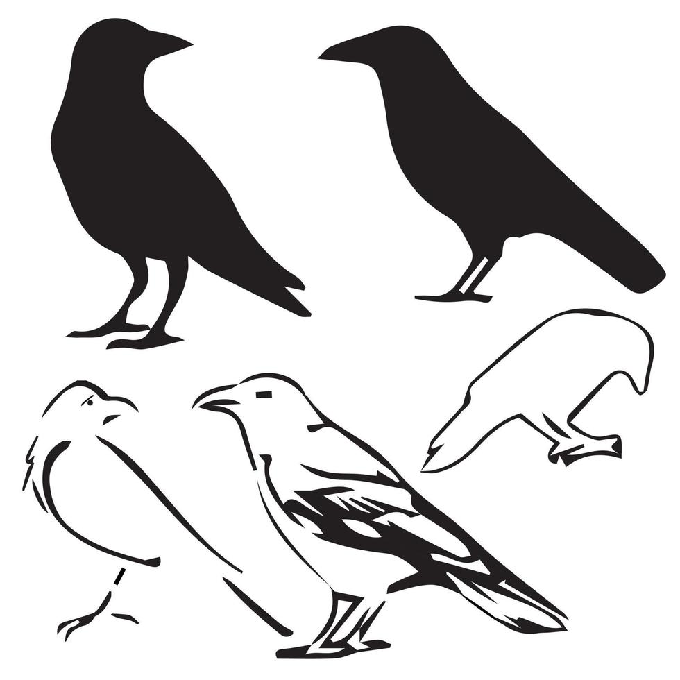 corbeau, corbeau silhouette groupé. illustration vecteur