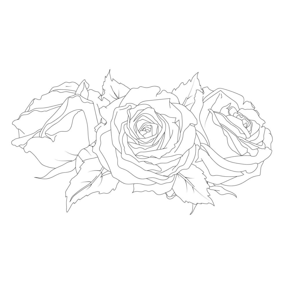 composition de des roses vecteur ligne art illustration