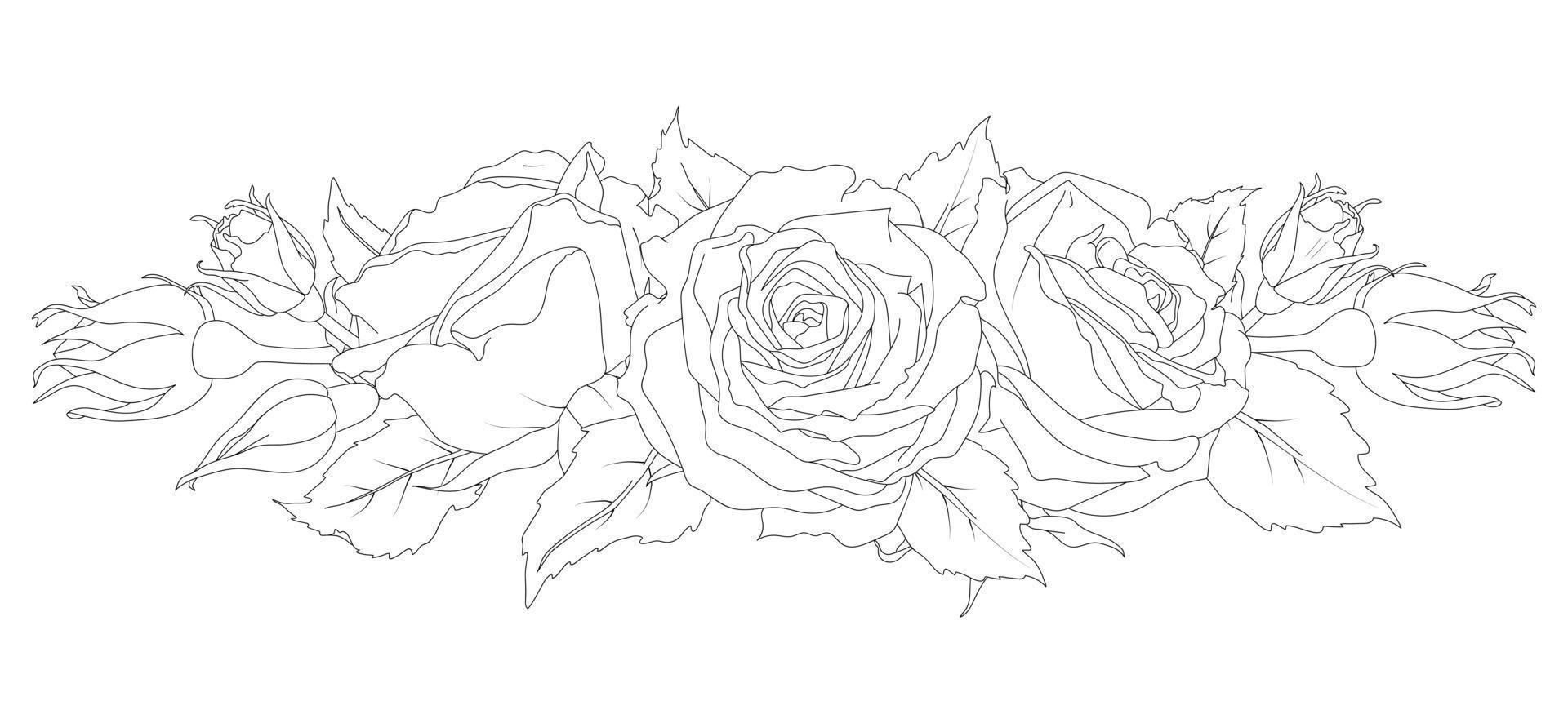 horizontal composition de des roses et bourgeons vecteur