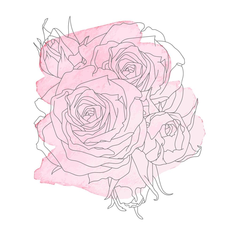 composition de des roses et bourgeons vecteur illustration dans ligne art style avec rose aquarelle tache.