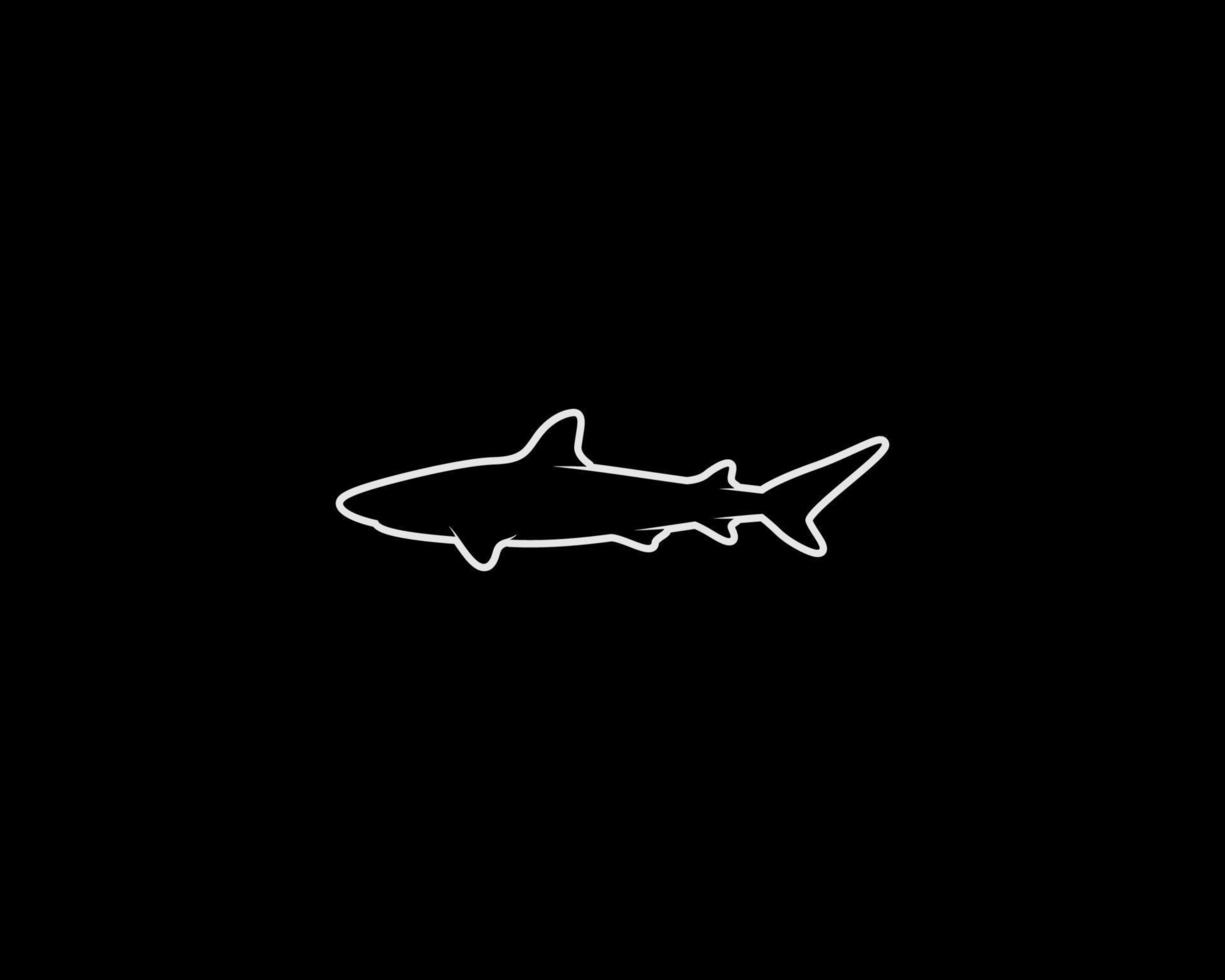 requin animal contour silhouette vecteur