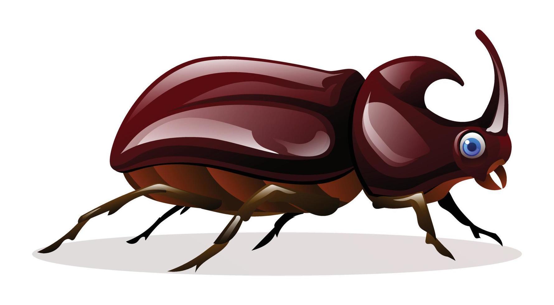 mignonne rhinocéros scarabée dessin animé illustration isolé sur blanc Contexte vecteur