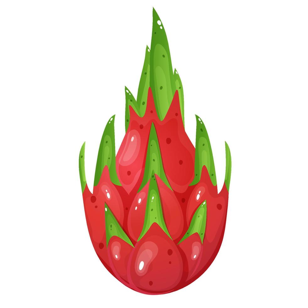 dessin animé style rose dragon fruit isolé sur blanc Contexte. vecteur