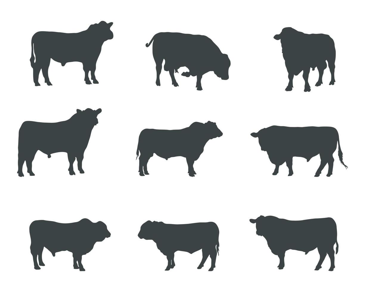 aberdeen angus silhouettes , aberdeen angus silhouette ensemble vecteur