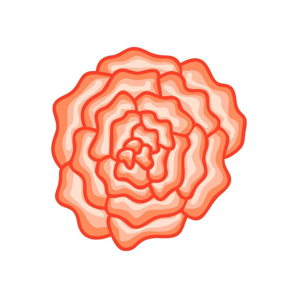 illustration de fleur botanique florale de vecteur ornement rose