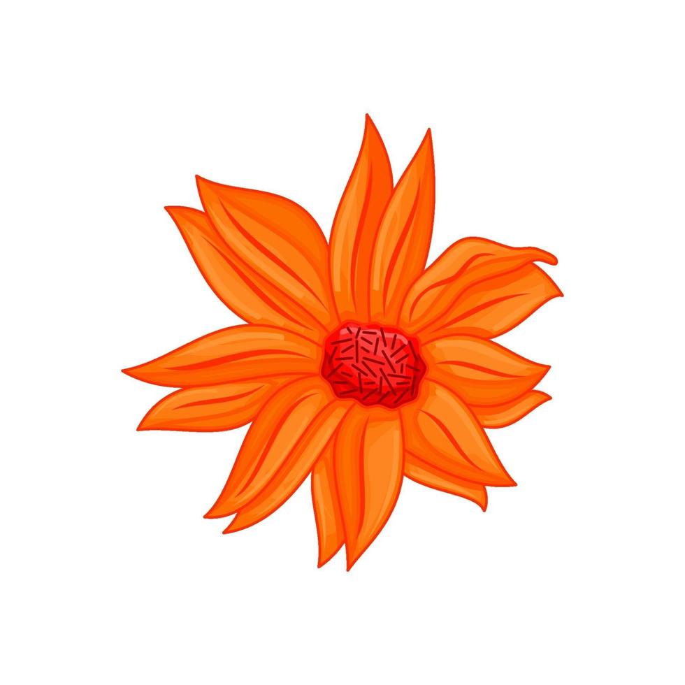 illustration vectorielle de fleur botanique florale ornement orange vecteur