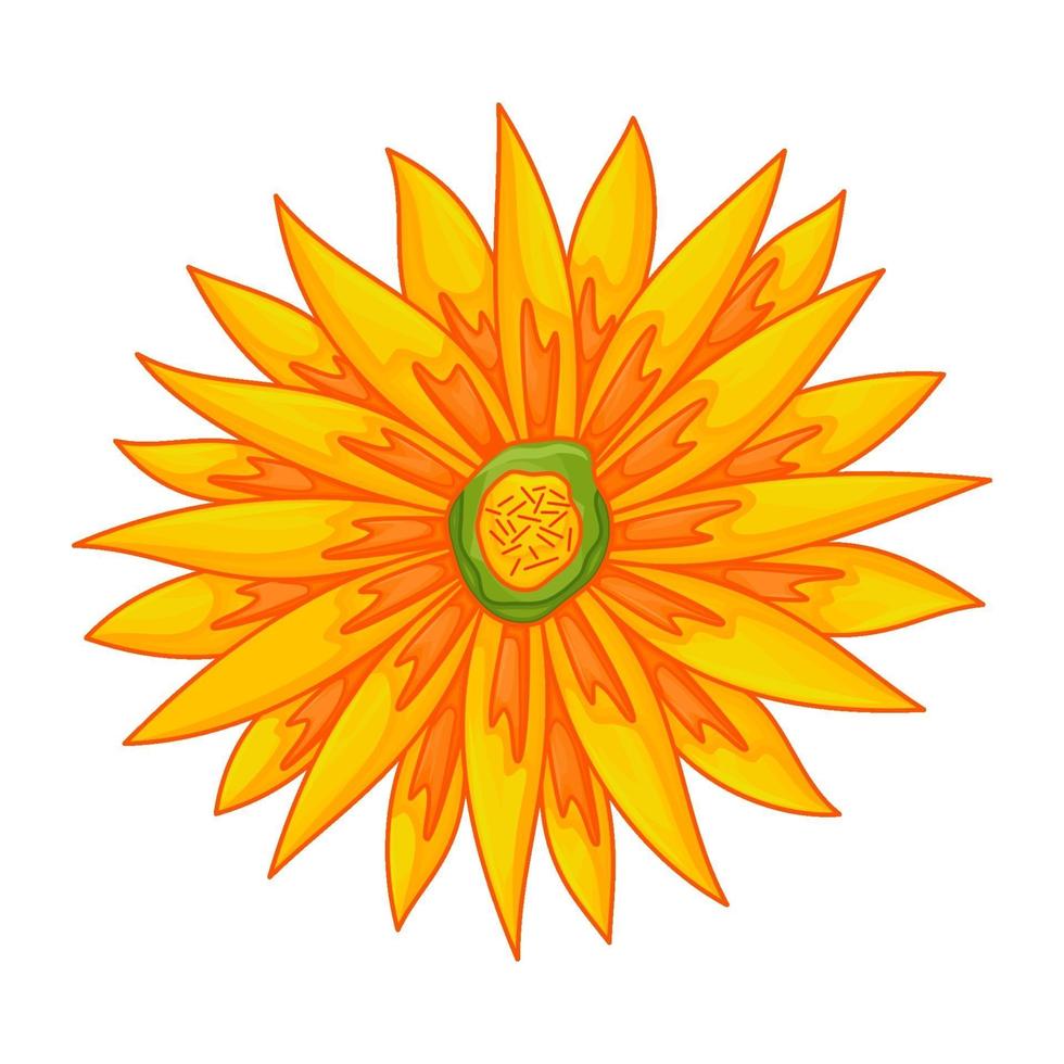 ornement de couleur illustration vectorielle fleur botanique floral plat vecteur