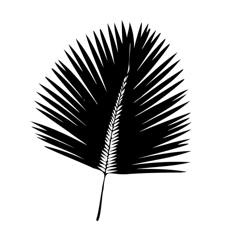 paume feuille silhouette. vecteur illustration