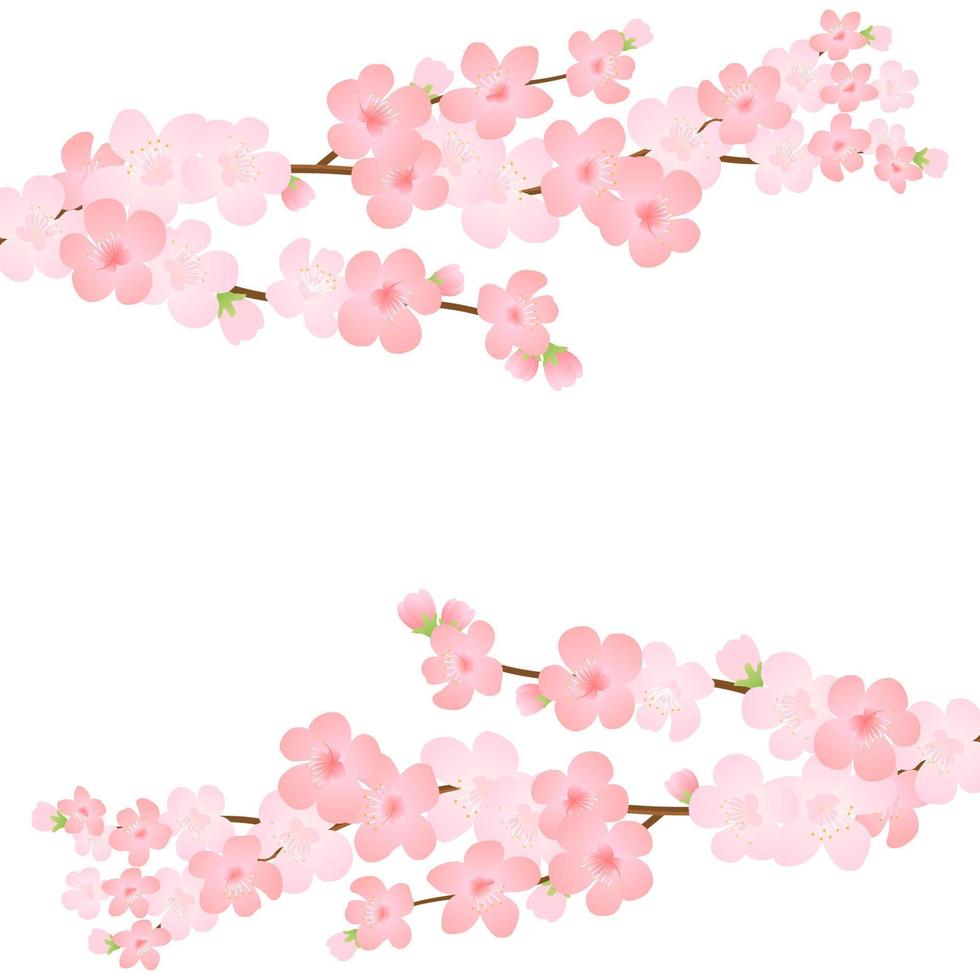 vecteur illustration de Floraison branche avec rose fleurs, bourgeons, pétales en volant. réaliste conception isolé transparent Contexte. épanouissement arbre brindilles ensemble, fleur collection.