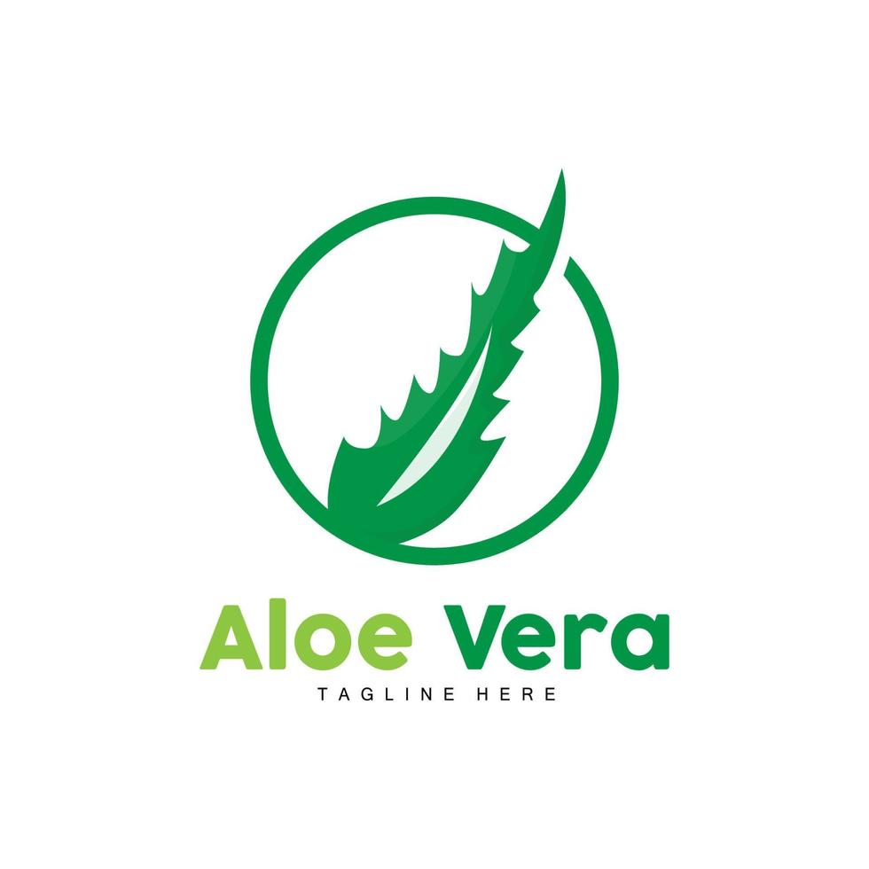 aloès Vera logo, vert plante conception, traditionnel médicament et peau se soucier plante vecteur, cheveux se soucier, symbole icône illustration vecteur