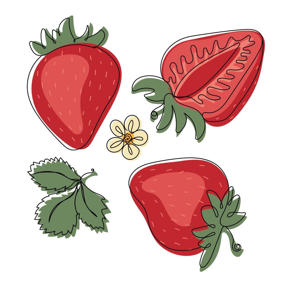 fraise. Couleur illustration de une rouge mûr fraise entier et moitié vecteur
