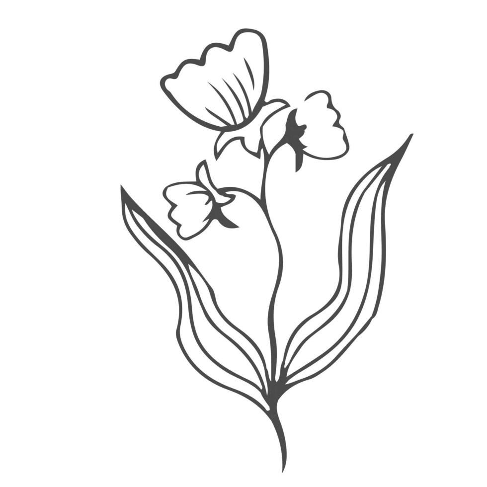 griffonnage main tiré feuilles, feuillage, mignonne élégant esthétique plante isolé sur blanc Contexte. frontière, conception élément, vague dessin. vecteur illustration