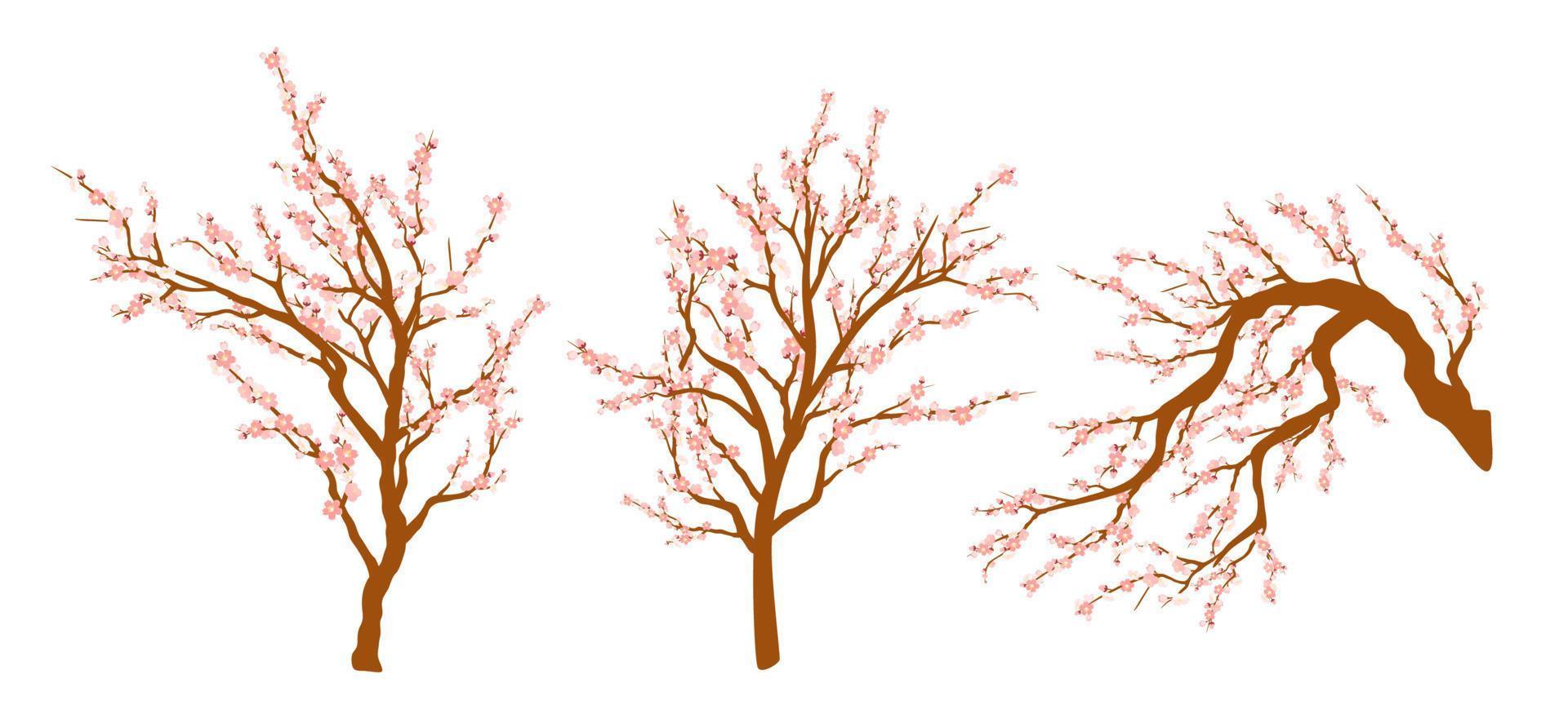 ensemble de branches d'arbres en fleurs de printemps, branche d'arbre à fleurs roses. sakura ou cerise. vecteur