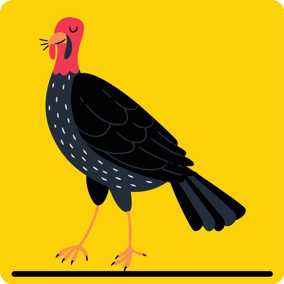 illustration de dessin animé dinde main tiré poulet. poule et coq esquisser. la volaille ferme vecteur illustration