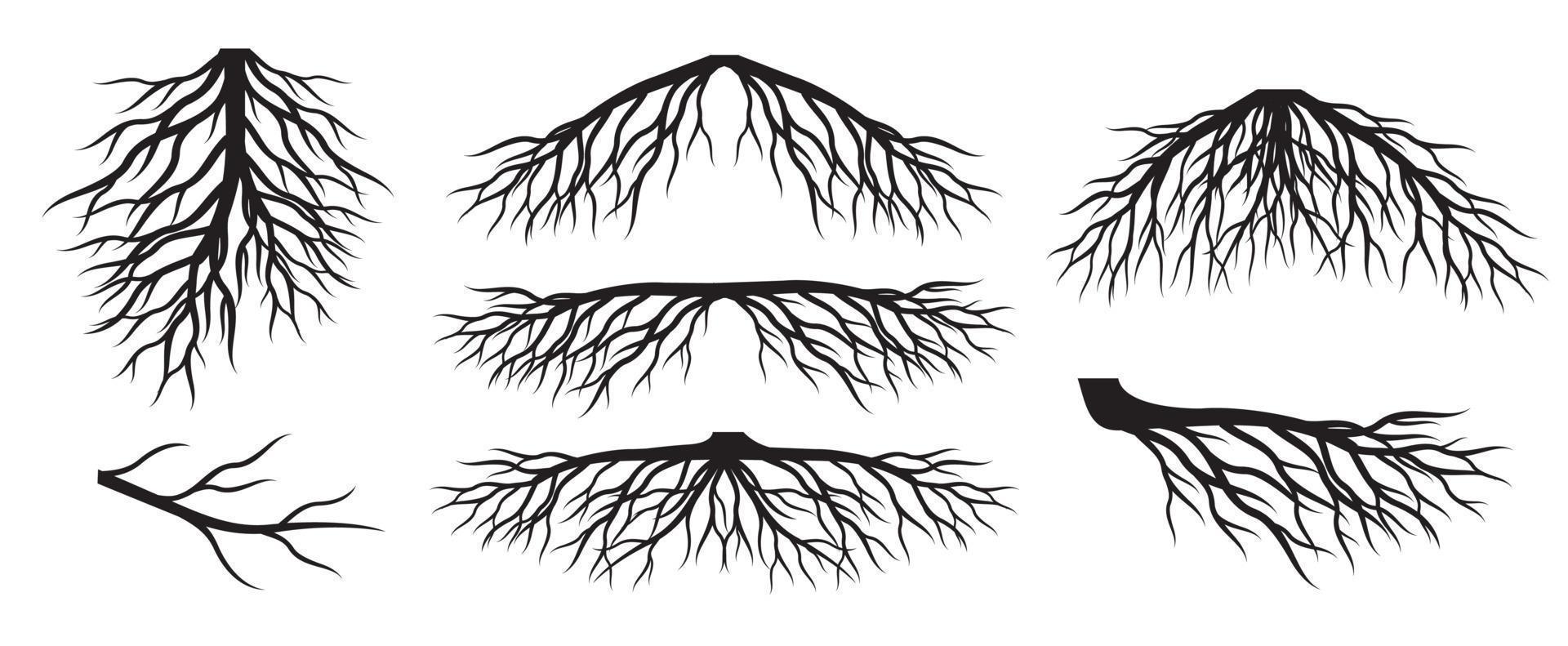 ensemble de racines d'arbres. illustration de contour de vecteur. planter dans le jardin. vecteur