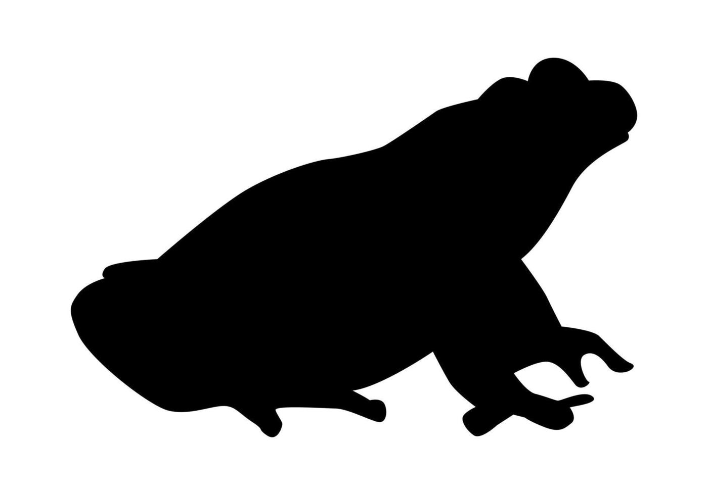 grenouille silhouette. animal concept, amphibiens. vecteur illustration.