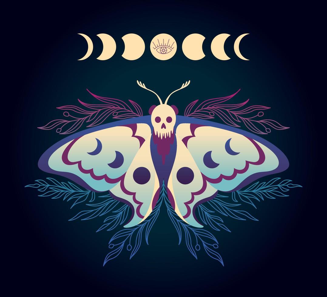 illustration avec faucon papillon de nuit avec phases de le lune vecteur