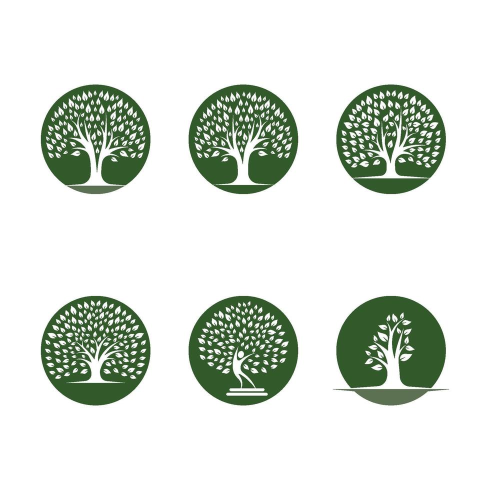 ensemble de conception d'images logo arbre vecteur