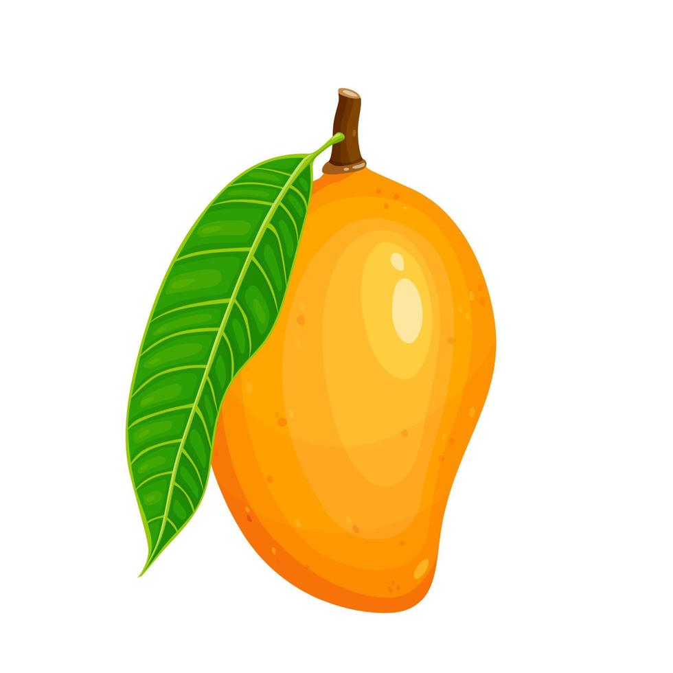 Frais mangue tropical fruit avec vert feuille isolé sur blanc Contexte. vecteur eps dix. parfait pour fond d'écran ou conception éléments