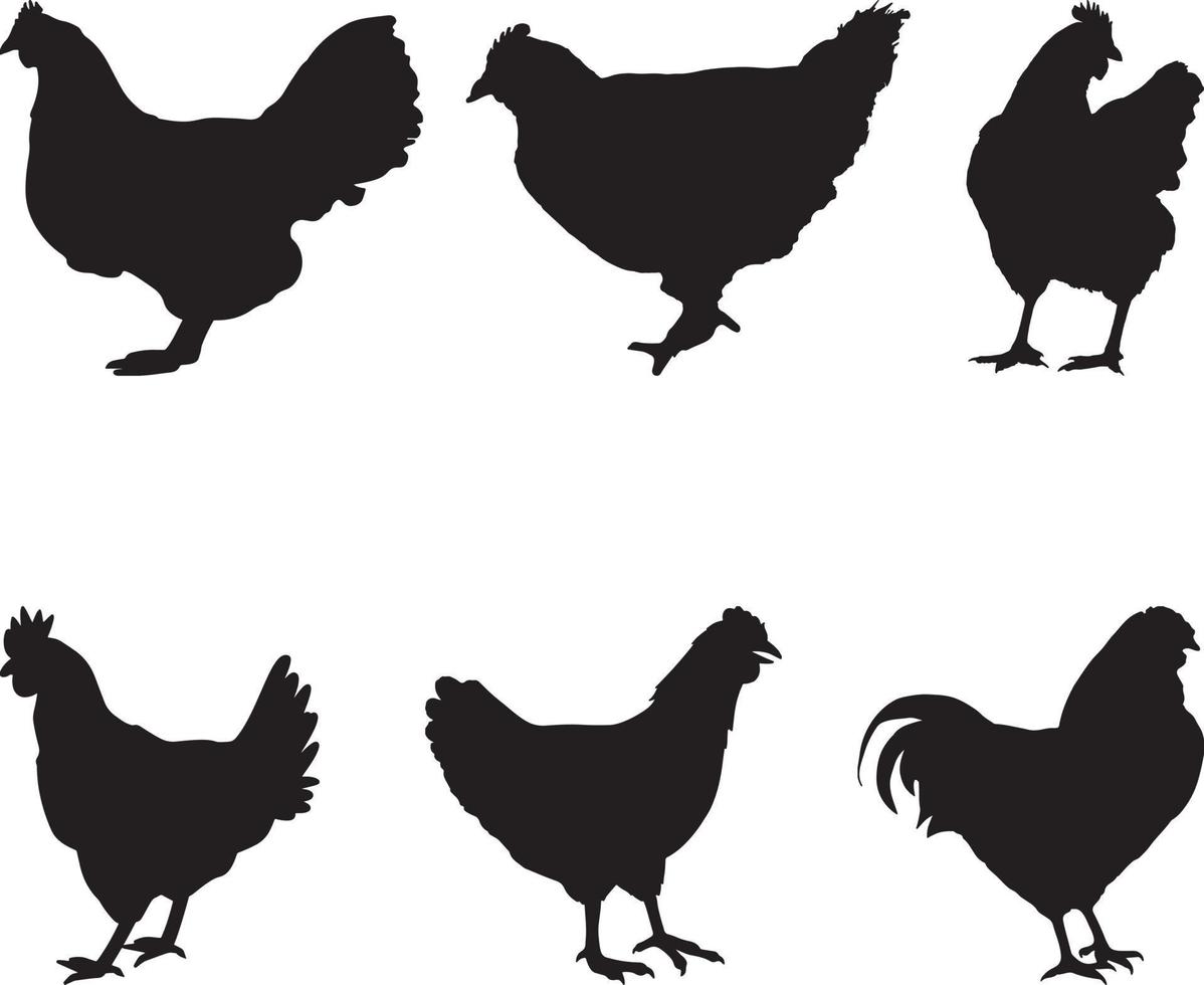 poule poulet silhouette ensemble vecteur