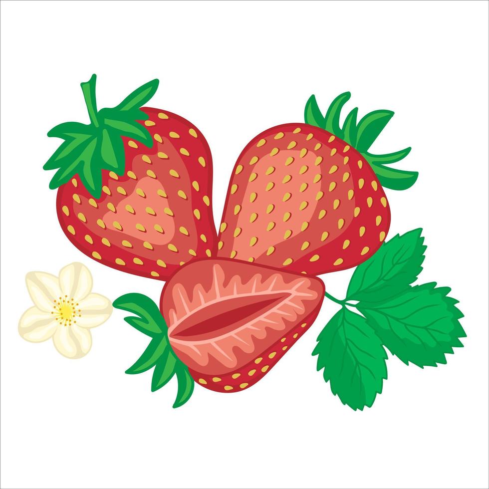 dessiné à la main brillant des fraises isolé sur blanc vecteur