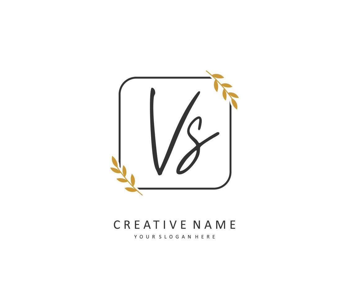 v s contre initiale lettre écriture et Signature logo. une concept écriture initiale logo avec modèle élément. vecteur