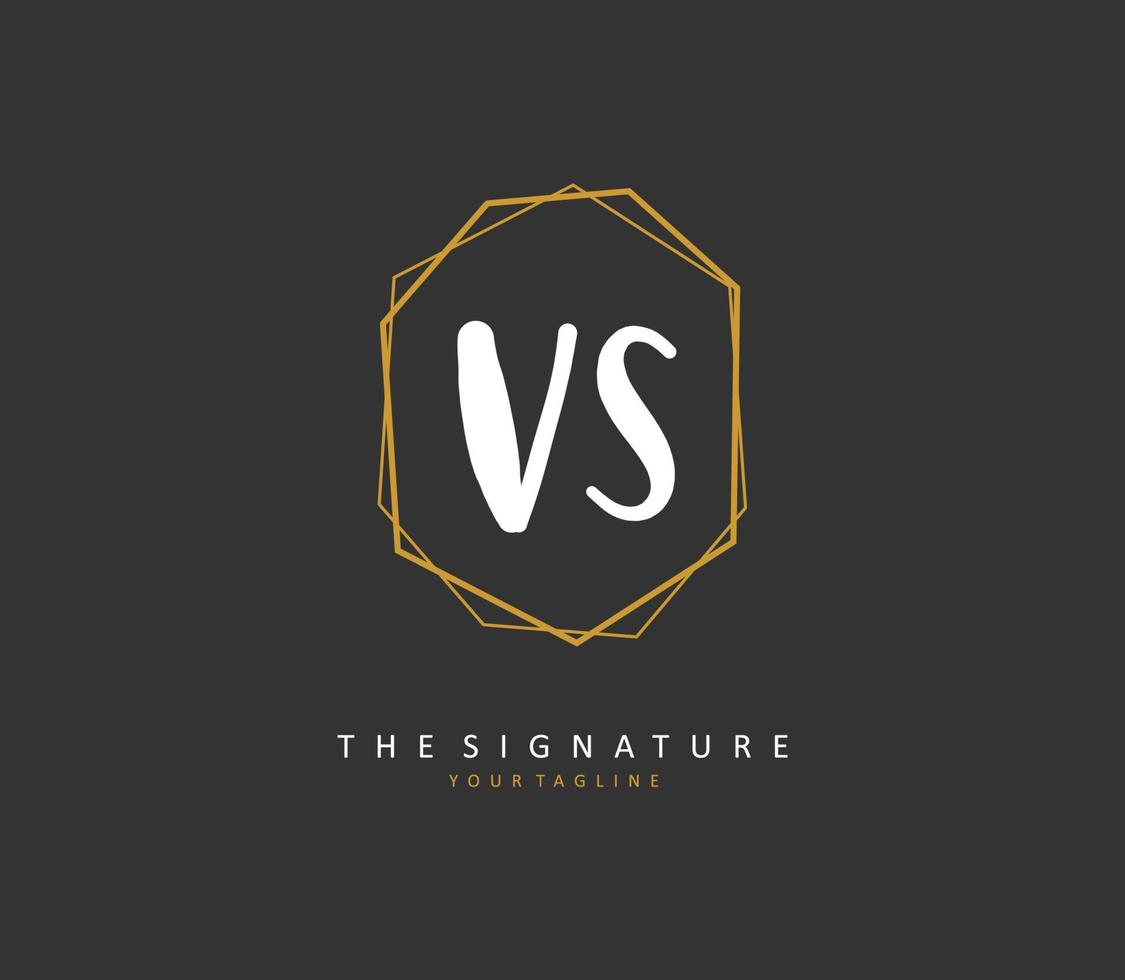 v s contre initiale lettre écriture et Signature logo. une concept écriture initiale logo avec modèle élément. vecteur