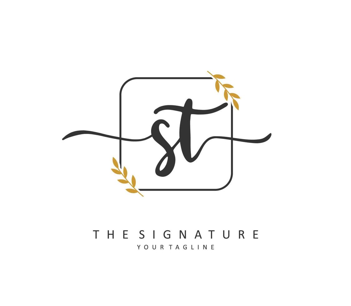 s t st initiale lettre écriture et Signature logo. une concept écriture initiale logo avec modèle élément. vecteur