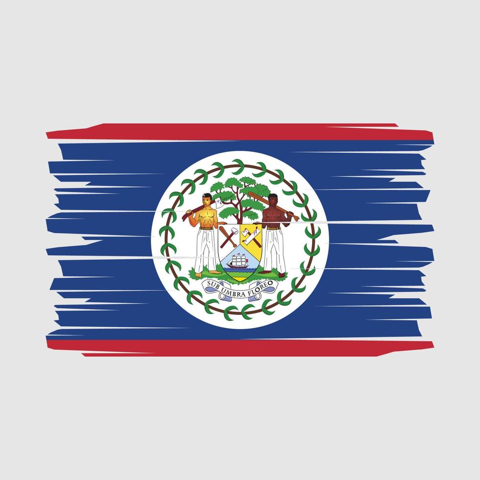 vecteur de brosse drapeau belize