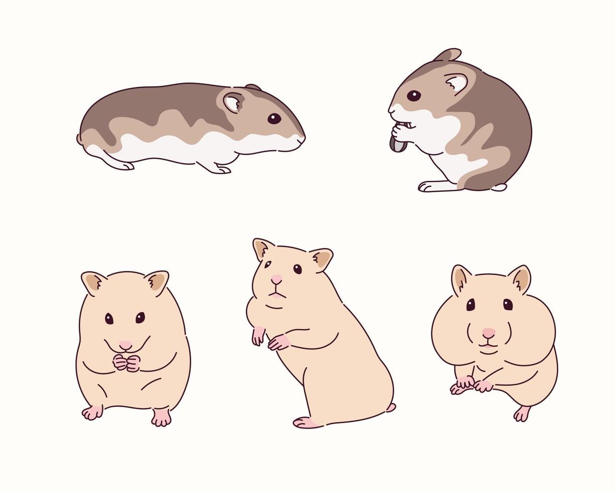 illustration de hamster mignon vecteur