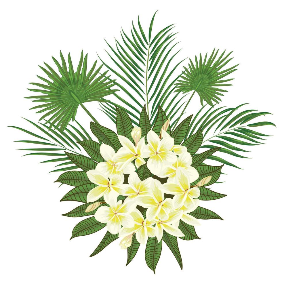 main tiré tropical paume feuilles et frangipanier composition avec jungle exotique fleur sur blanc Contexte botanique vecteur illustration