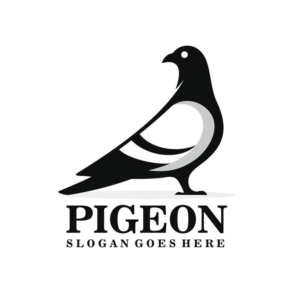 Pigeon oiseau logo conception vecteur
