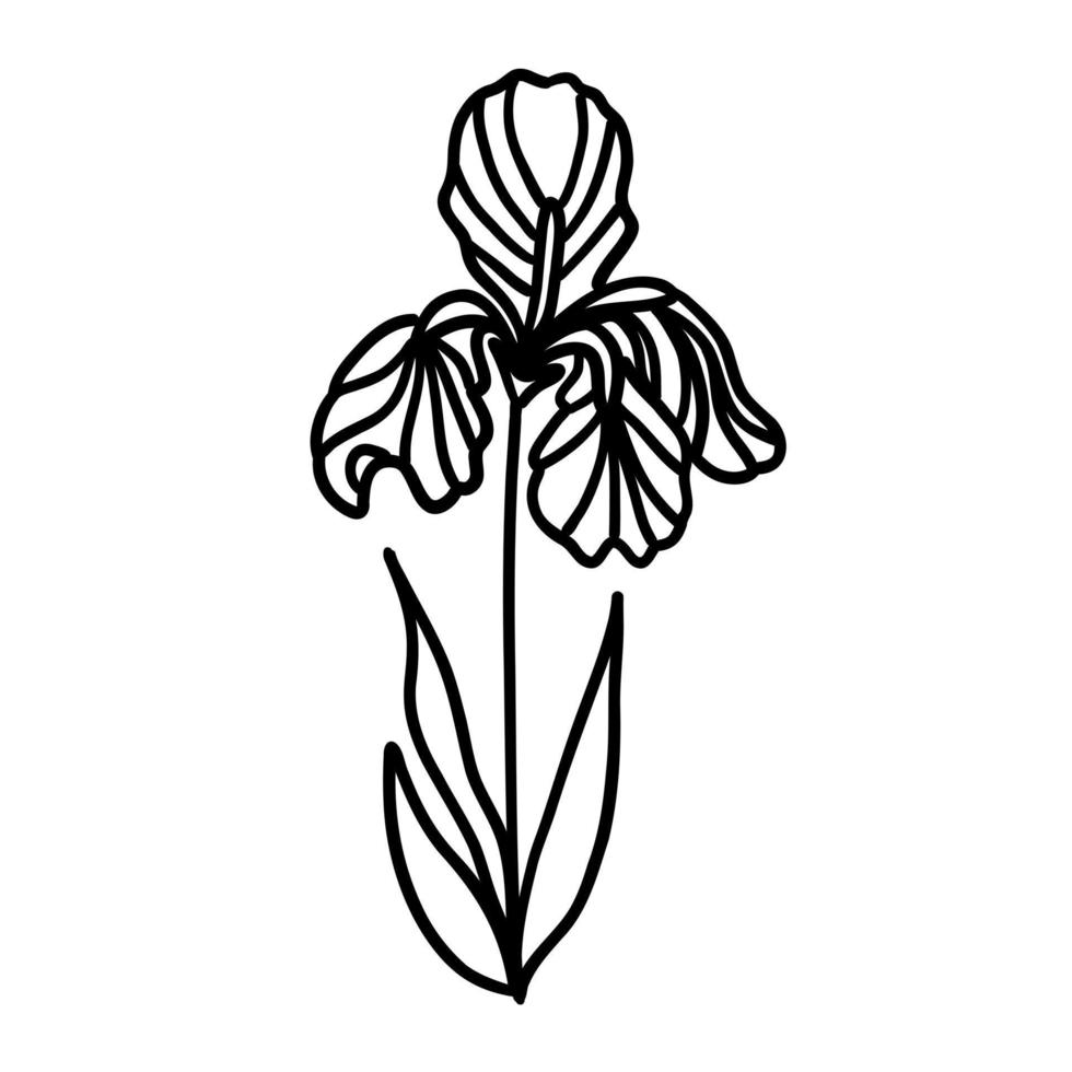 fleur dans contour griffonnage plat style pour coloration. Facile floral élément plante feuilles décoratif conception. main tiré ligne art. Créatif esquisser. vecteur illustration isolé sur blanc Contexte.