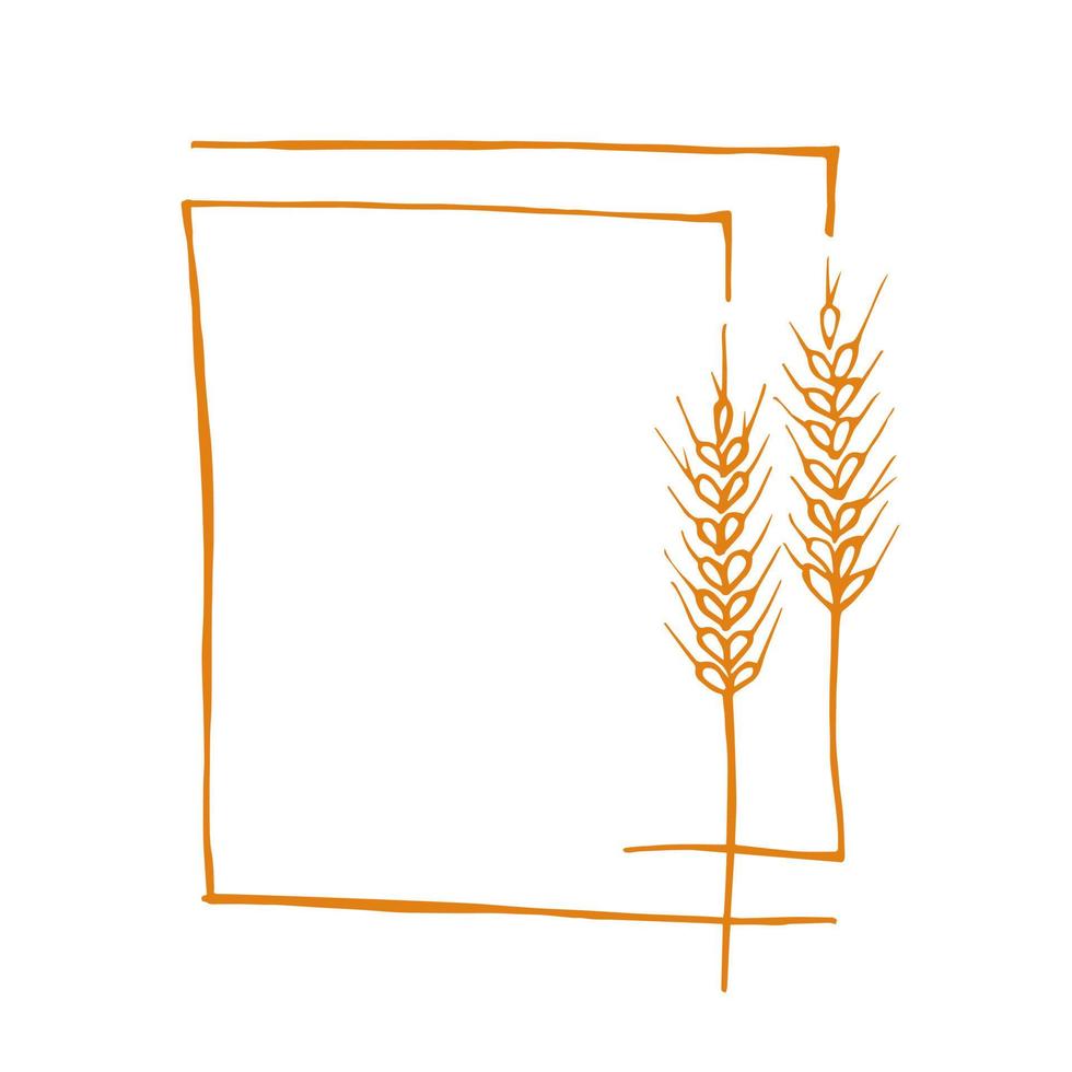 cadre de couronne d'épis de blé. un tas d'épis de blé, grains entiers séchés. récolte de céréales, agriculture, agriculture biologique, symbole d'aliments sains. fond isolé vecteur