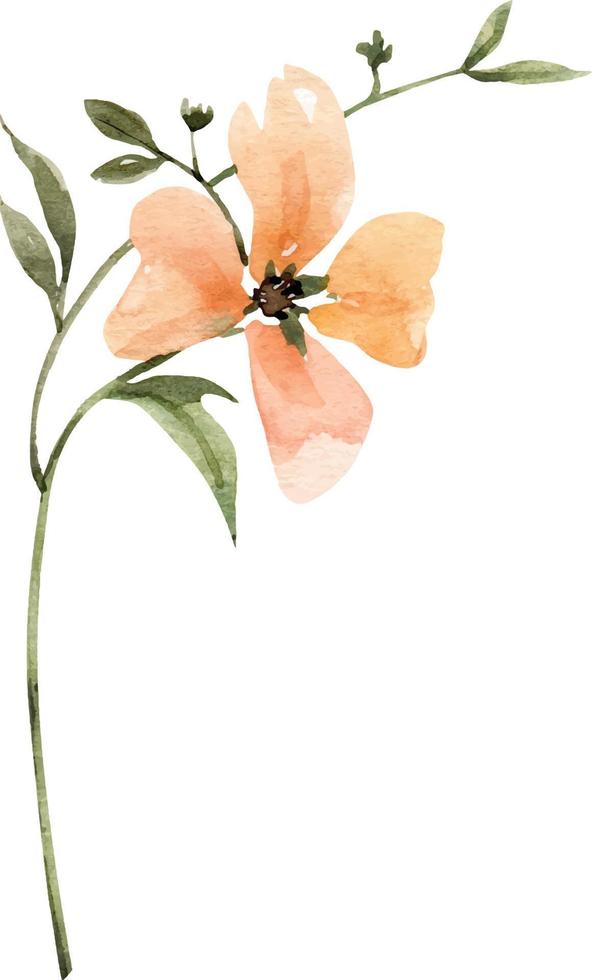 aquarelle illustration fleur rose, pour cartes postales et conception. vecteur