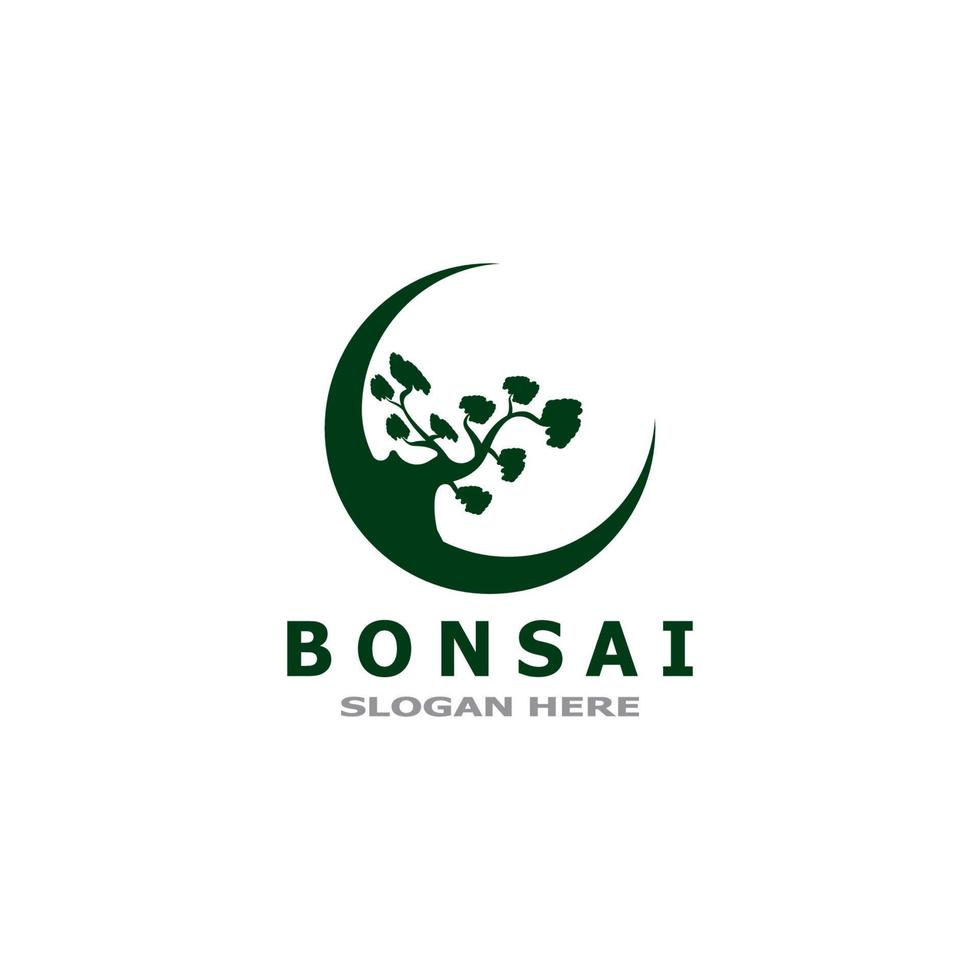 bonsaï arbre plante vecteur logo illustration