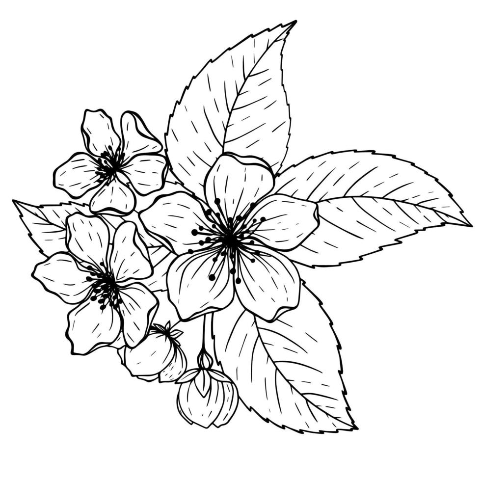 Pomme arbre branche avec fleur dessins. noir et blanc avec ligne art sur blanc arrière-plans. main tiré botanique des illustrations vecteur