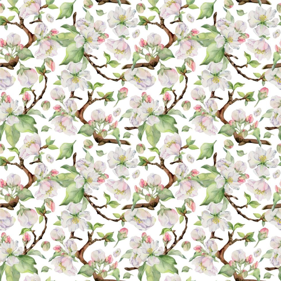 main tiré aquarelle Pomme fleurir, blanc et rouge fleurs et vert feuilles. sans couture modèle. isolé objet sur blanc Contexte. conception pour mur art, mariage, imprimer, tissu, couverture, carte. vecteur