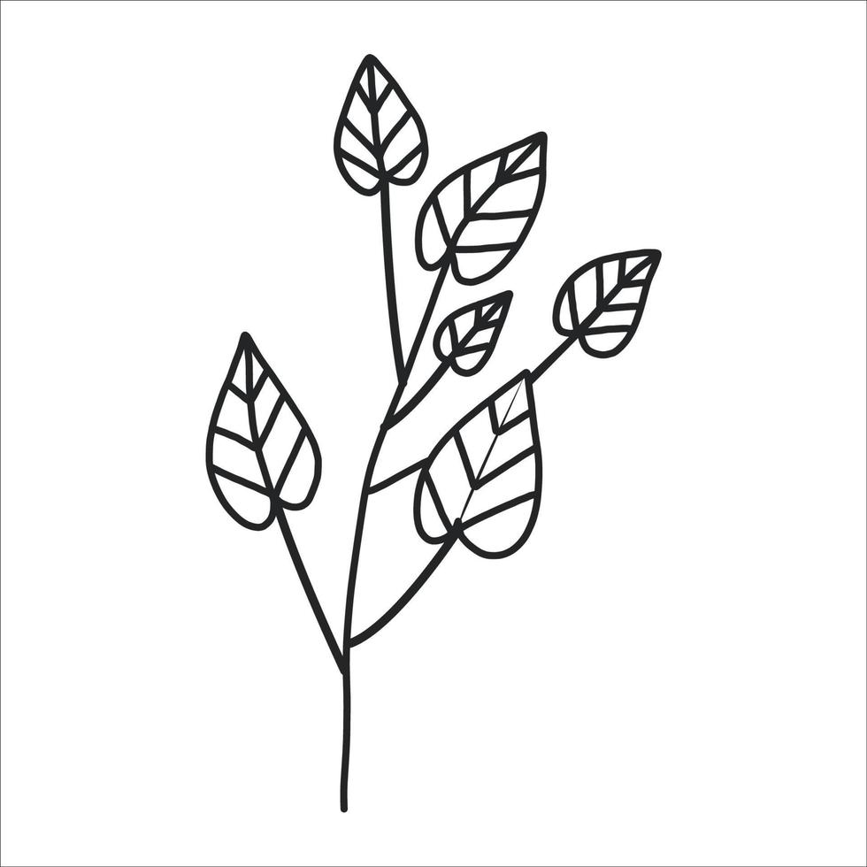 noir silhouette de une plante branche. fleur branche dans contour style main tiré sur isolé blanc Contexte. vecteur Stock illustration. tropical feuilles. minimal ligne art pour imprimer, couverture ou tatouage.