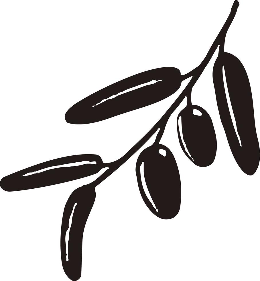 esquissé légume illustration de olive. main tiré brosse nourriture ingrédient. vecteur bio éco icône, logo conception modèle. concept pour biologique des produits, récolte, en bonne santé nourriture, végétarien, brut nourriture régime.