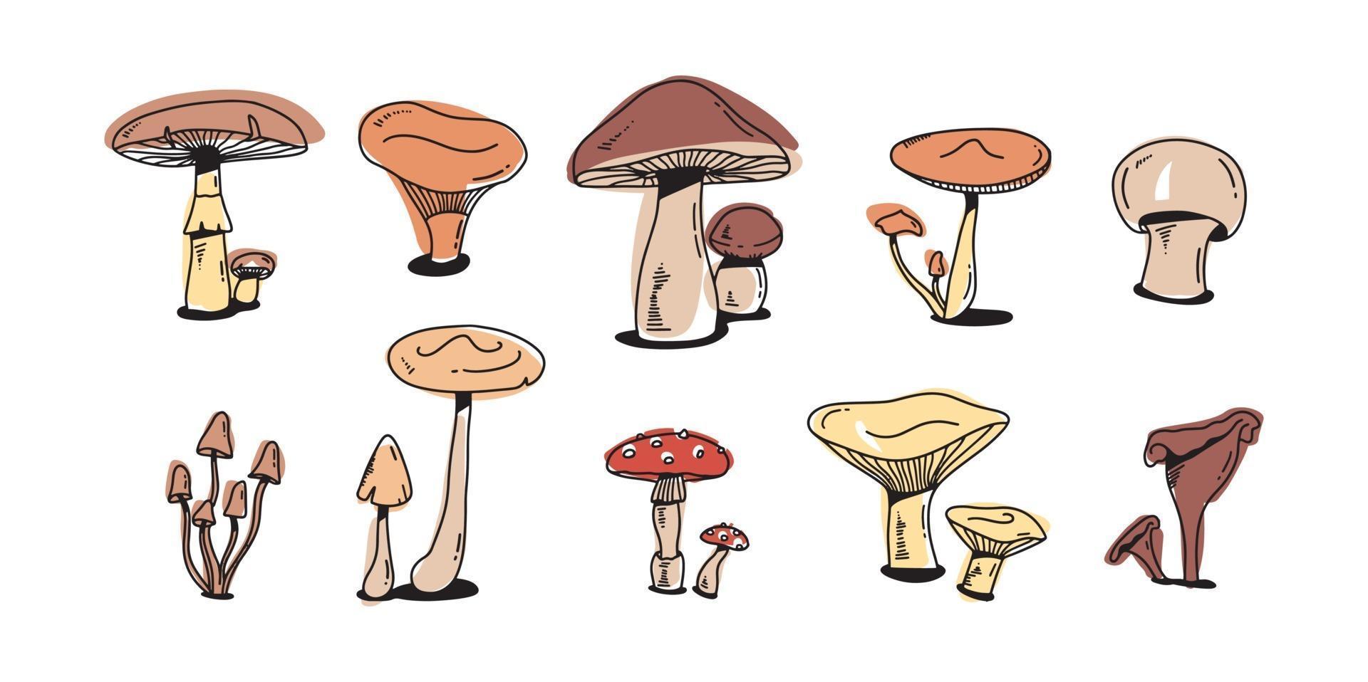 ensemble de doodle coloré aux champignons. croquis plat dessiné main divers champignons. champignon, chanterelle et shiitake. vecteur