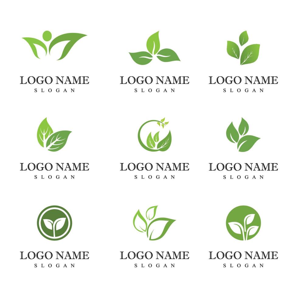 feuille verte logo écologie nature élément vecteur icône