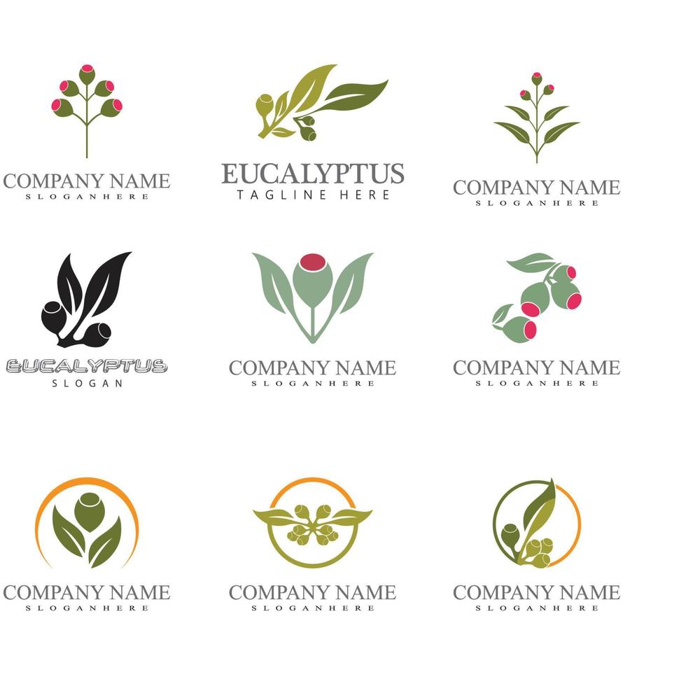 feuilles d'eucalyptus logo vector illustration de conception de modèle