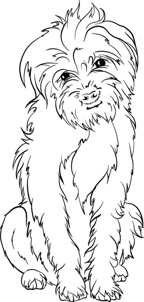 frontière terrier chien race griffonnage style ligne dessin vecteur noir et blanc illustration