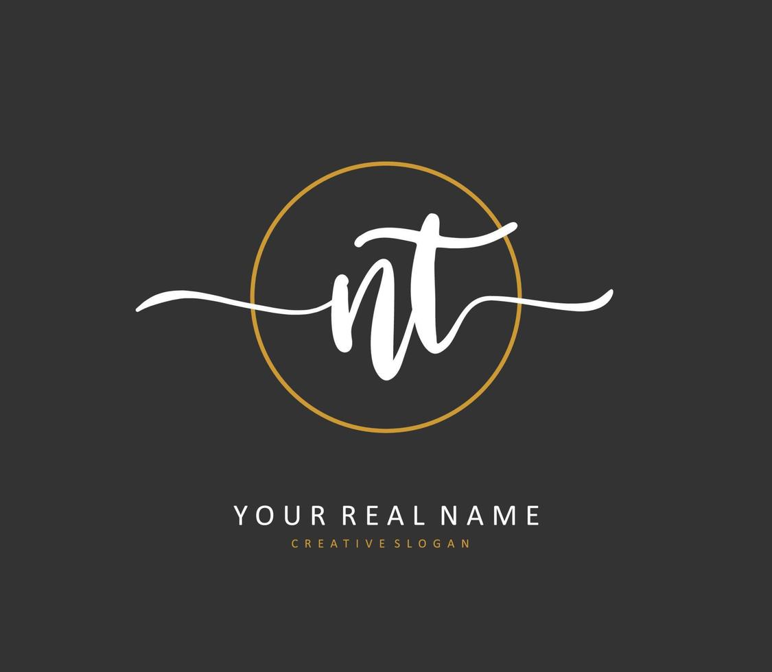 n t NT initiale lettre écriture et Signature logo. une concept écriture initiale logo avec modèle élément. vecteur