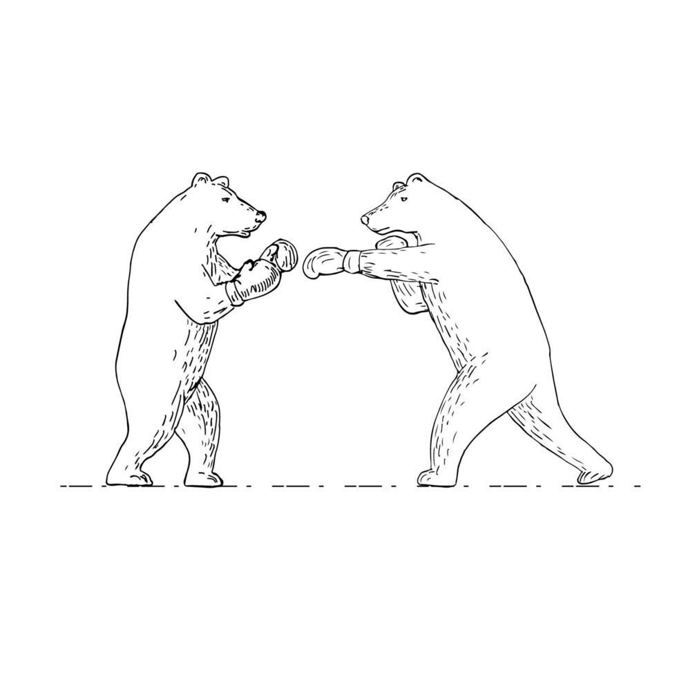 Dessin de boxe deux boxeurs grizzly bear vecteur