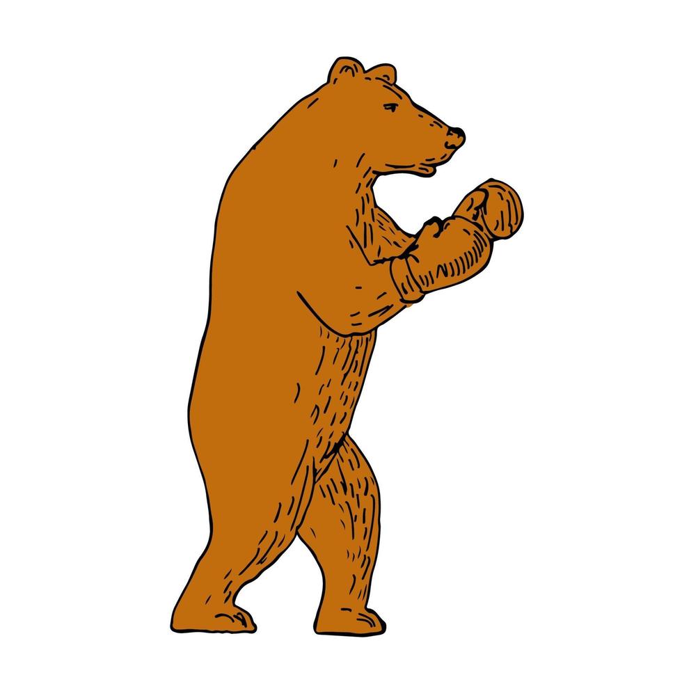 dessin de position de boxe ours brun vecteur